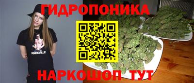 гашик Обь
